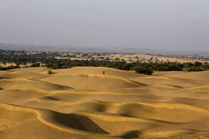 Sunny Desert Camp Kūri Exterior foto